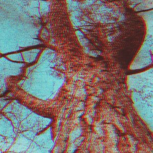 baner36
