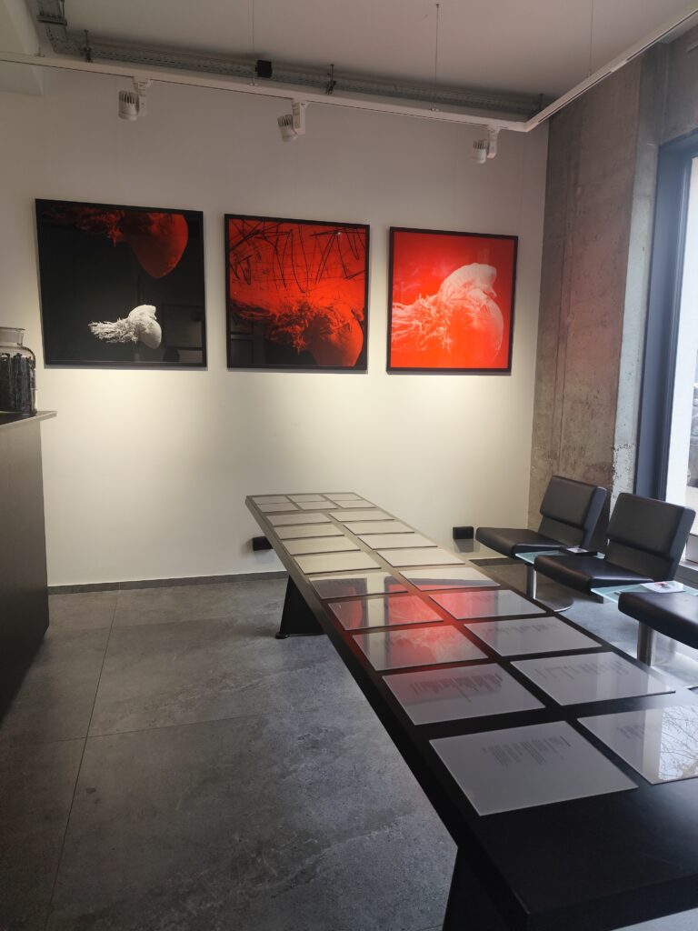img 20260429 160457