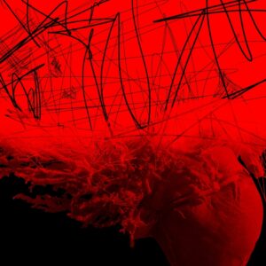 aldona slupinska leave you burn