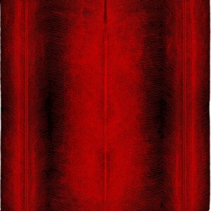 aldona slupinska stone tongue drift ii